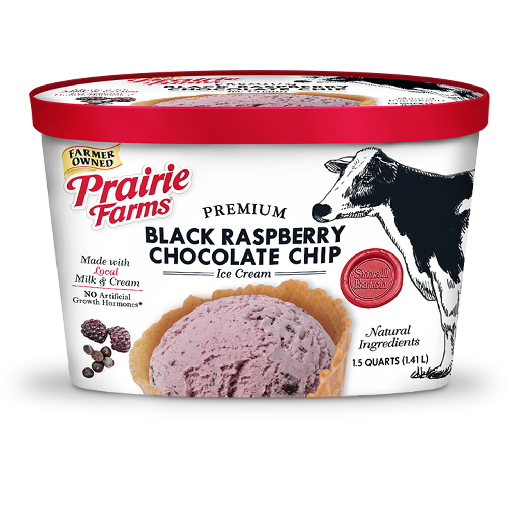 Premium Small Batch Ice Cream, Black Raspberry Chocolate Chip