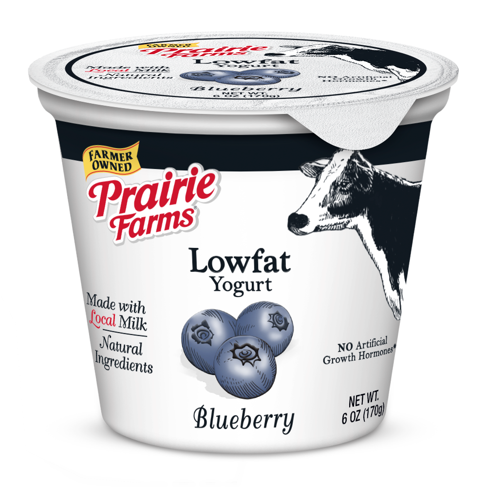 6oz Lowfat Yogurt, Blueberry