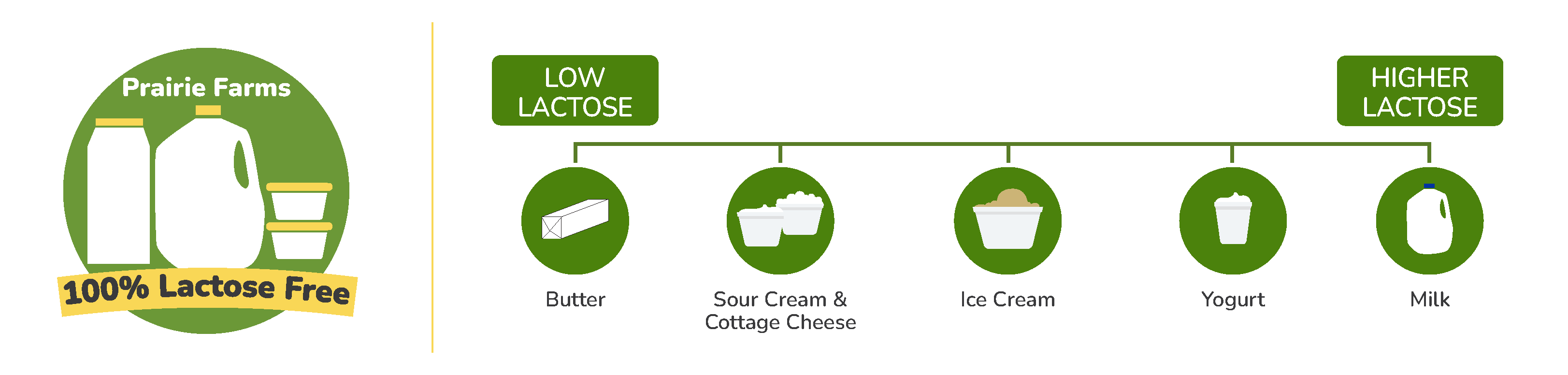PF_Lactose-Free-Infographic_Green-25