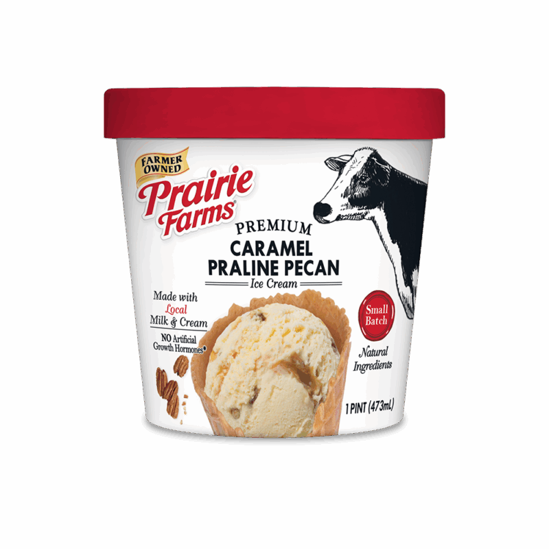 Caramel Praline Pecan Ice Cream