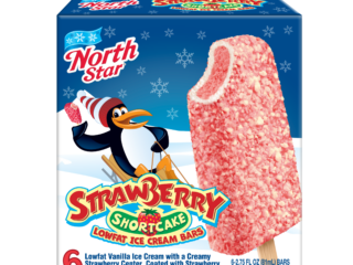 Lowfat Ice Cream Bars