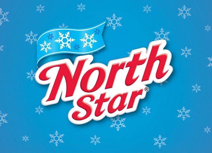Northstar logo over a background of blue snowflakes