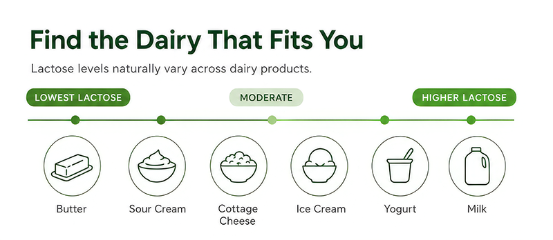 Infographic showing lactose levels across dairy products, ranging from butter with low lactose, then sour cream, cottage cheese, ice cream, yogurt and lastly milk with highest levels of lactose.