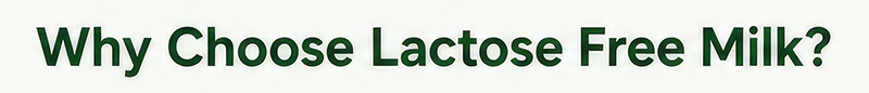 Why Choose Lactose Free Milk?
