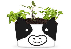 PF_Ice_Cream_Carton_Herb_Garden_Cow_300x210